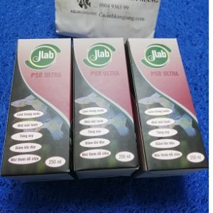 Vi men vi sinh khuẩn quang hợp PSB Jlab