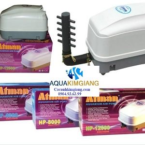 máy sủi khí oxy atman HP 12000