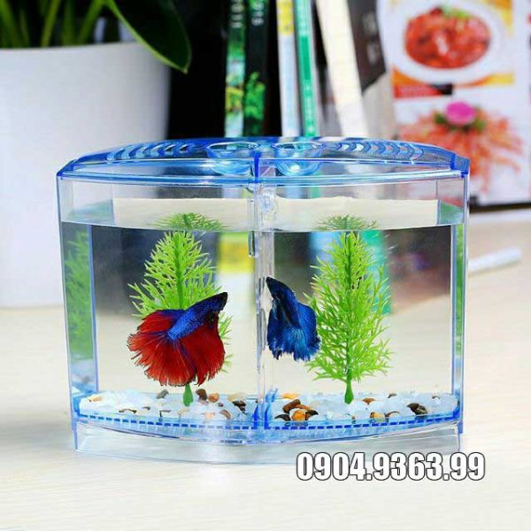 Bể cá betta mini 2 ngăn nhựa trong suốt