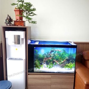 Bể cá thủy sinh 80*40*50 lọc vách