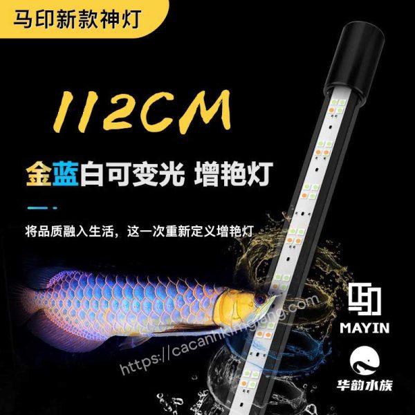 Đèn Mayin vàng 112cm cho quá bối