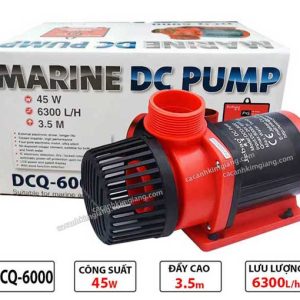 Máy bơm Chống giật DCQ 6000