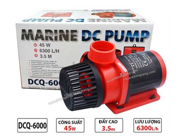 Máy bơm Chống giật DCQ 6000