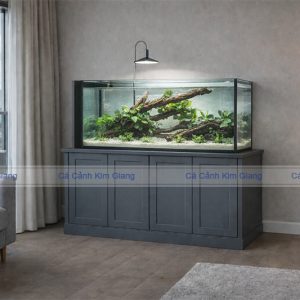 Bể thủy sinh bố cục lũa gắn ráy